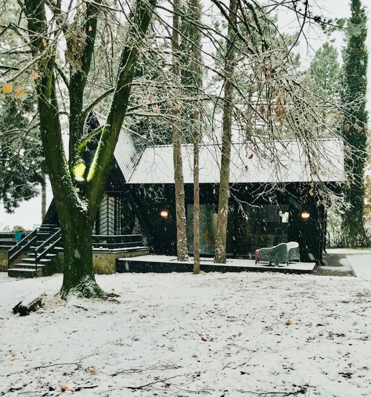 Kuca Za Odmor Vrdnik Villa Exterior photo