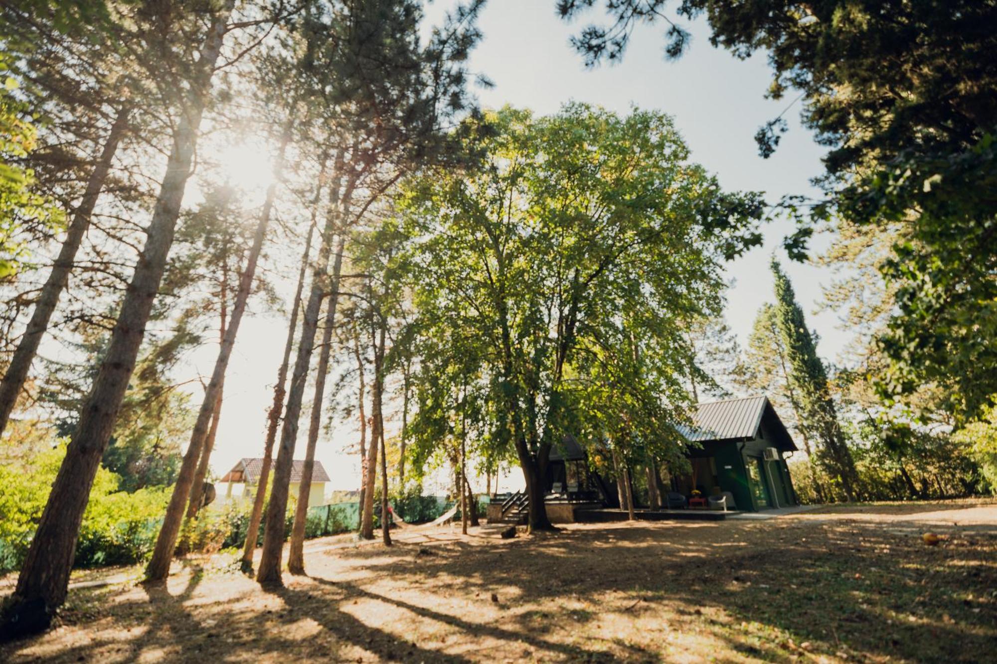 Kuca Za Odmor Vrdnik Villa Exterior photo
