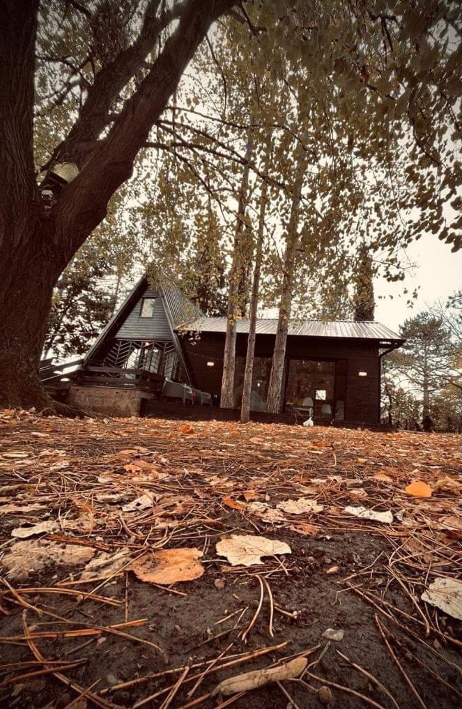 Kuca Za Odmor Vrdnik Villa Exterior photo